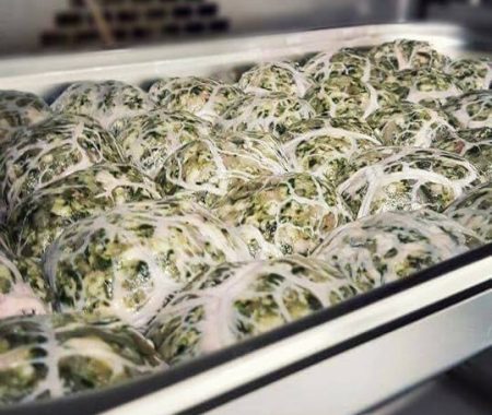 18301784_1415179508520204_8730276336865429490_n